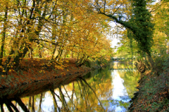 The River Derwent in Autumn Matlock Town