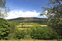 Summer view to Bamford Edge