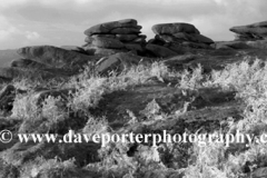 Autumn, Gritstones, Lawrence Field, Grindleford