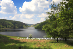 Spring, Ladybower reservoir