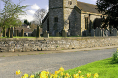 Daffodils, St Oswalds church Ashbourne town