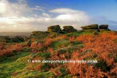 Autumn, Gritstones, Lawrence Field, Grindleford