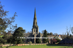 Daffodils at St Oswalds church Ashbourne town