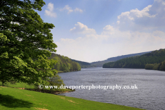 Spring colours along Ladybower Reservoir