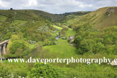 The viaduct and River Wye, Monsal Head