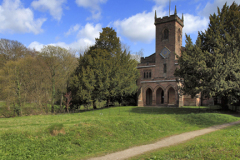 Daffodils, St Marys Church, Cromford village