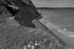 Ironstone cliffs at Orcombe Point, Jurassic coast