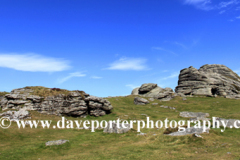 Summer, Haytor Down, Haytor Rocks, Dartmoor