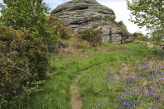 Blackinstone Rock near Moretonhampstead village