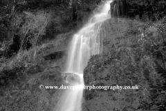 Canonteign Waterfalls, Chudleigh, Dartmoor