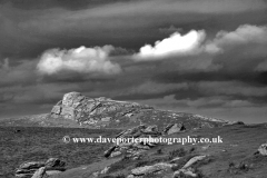 Summer, Haytor Down, Haytor Rocks, Dartmoor