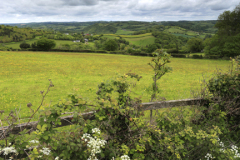 Summer, river Teign valley near Lower Ashton village