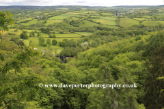 Summer, river Teign valley near Teign village