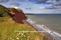 Ironstone cliffs at Orcombe Point, Jurassic coast