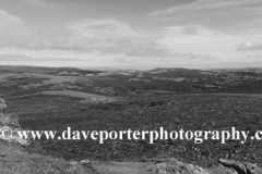 Summer, Haytor Down, Haytor Rocks, Dartmoor