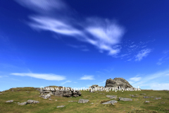 Summer, Haytor Down, Haytor Rocks, Dartmoor