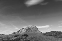 Gorse and Heather, Haytor Rocks, Dartmoor