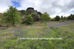 Blackinstone Rock near Moretonhampstead village