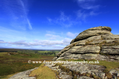 Summer, Haytor Down, Haytor Rocks, Dartmoor