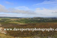 Summer, Haytor Down, Haytor Rocks, Dartmoor