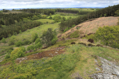 Blackinstone Rock near Moretonhampstead village