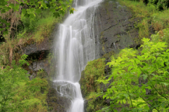 Canonteign Waterfalls, Chudleigh, Dartmoor