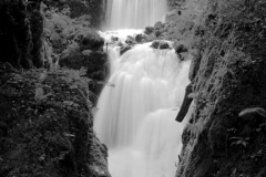 Canonteign Waterfalls, Chudleigh, Dartmoor