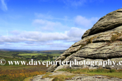 Summer, Haytor Down, Haytor Rocks, Dartmoor