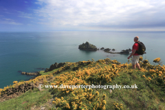 Walker, wildflowers and cliffs, Kellys Cove, Start Bay