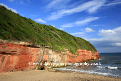 Ironstone cliffs at Orcombe Point, Jurassic coast