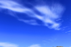 Summer, Haytor Down, Haytor Rocks, Dartmoor