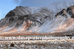 Winter sunrise over the Esja Mountain range