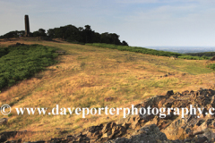 Summer landscape over Bradgate Park