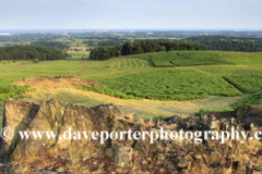 Summer landscape over Bradgate Park