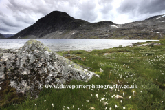 Lake Djupvatnet, near Geiranger town