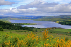 View over Dornoch Firth; Highlands of Scotland