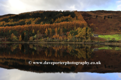 Autumn colours, Loch Lochy at Laggan locks