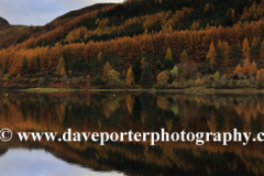 Autumn colours, Loch Lochy at Laggan locks