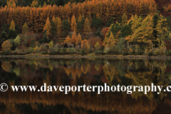 Autumn colours, Loch Lochy at Laggan locks