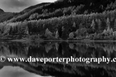 Autumn colours, Loch Lochy at Laggan locks