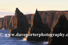 Duncansby Sea Stacks, Duncansby Head