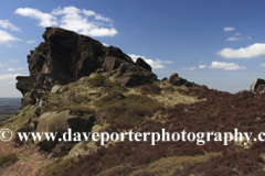 The rock formations of the Ramshaw Rocks