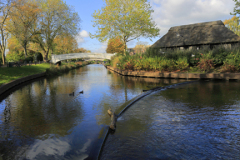 Autumn, Victoria Park, river Sow, Stafford