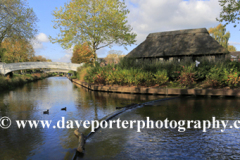 Autumn, Victoria Park, river Sow, Stafford