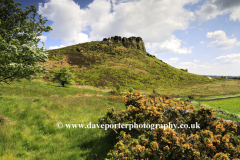 View to Hen Cloud rock, the Roaches Rocks, Upper Hulme