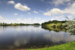 View over the Bosley Reservoir, Bosley village