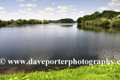 View over the Bosley Reservoir, Bosley village