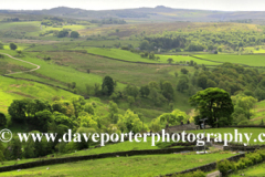 The River Dane valley near Knar village