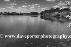 View over the Bosley Reservoir, Bosley village