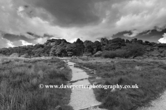 View over the Roaches Rocks, near Leek town